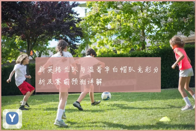 新英格兰队与温哥华白帽队竞彩分析及赛前预测详解