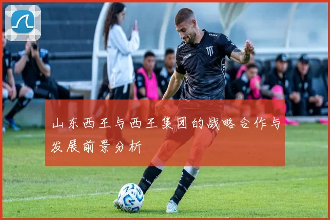 山东西王与西王集团的战略合作与发展前景分析