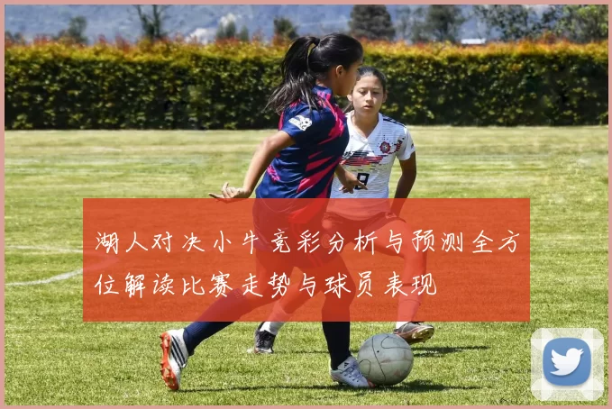 湖人对决小牛竞彩分析与预测全方位解读比赛走势与球员表现